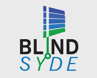 Blind Syde